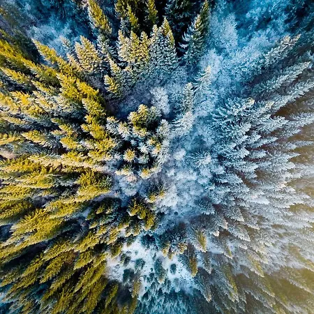 Biela Skala - Chaletka Chopok Jasna Juh Sebesér