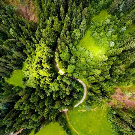 Biela Skala - Chaletka Chopok Jasna Juh Nyaraló Sebesér