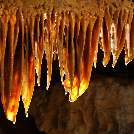 Holiday home Biela Skala - Chaletka Chopok Jasna Juh Bystra