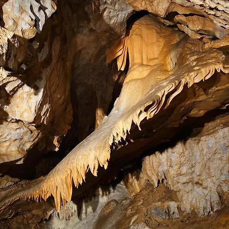 Holiday home Biela Skala - Chaletka Chopok Jasna Juh