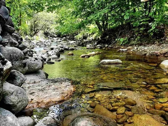 Biela Skala - Chaletka Chopok Jasna Juh *