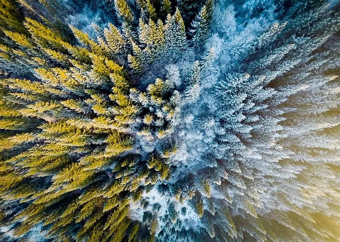 Biela Skala - Chaletka Chopok Jasna Juh Sebesér
